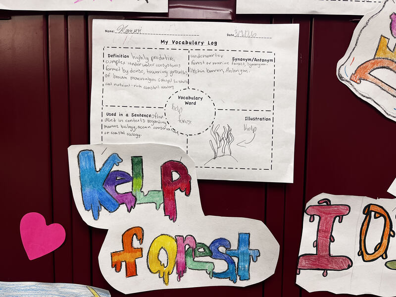 Student writing about a kelp forest